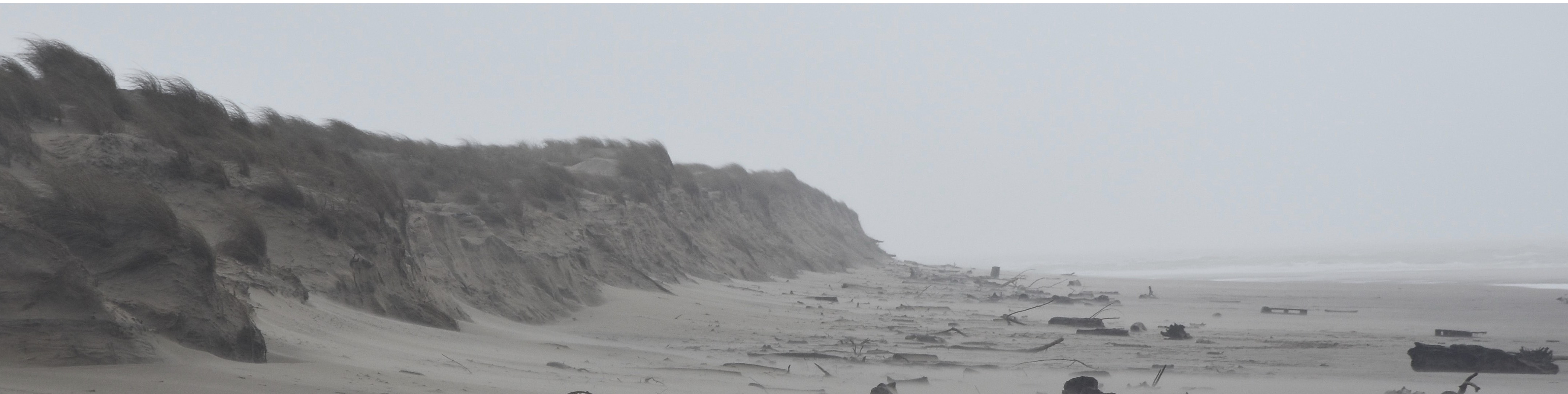 20200227_CoteSauvage%20%2810%29